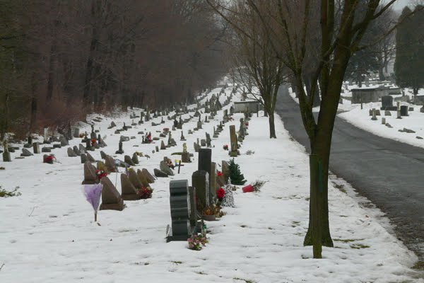 childrens section at calvary cemetery