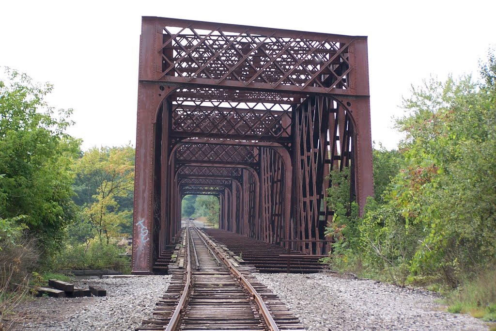 DL&W Susquehanna River Bridge : East approach.