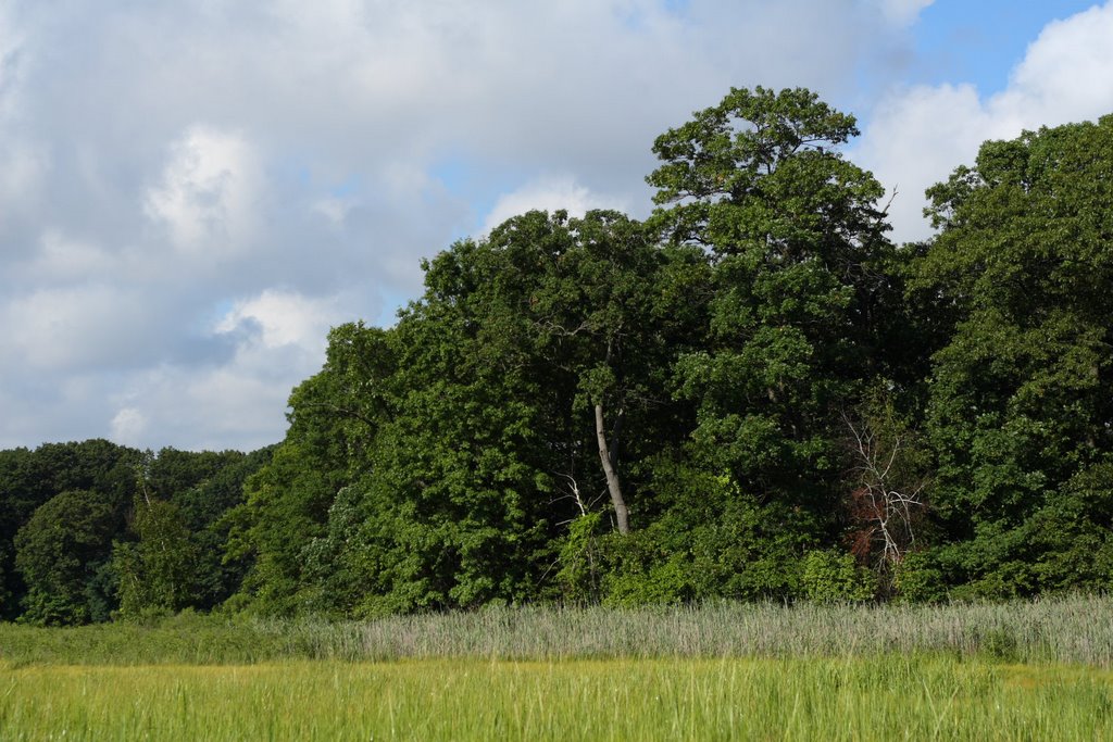 Pelham Bay Park, NY