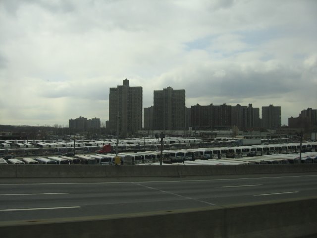 welcome to the bronx