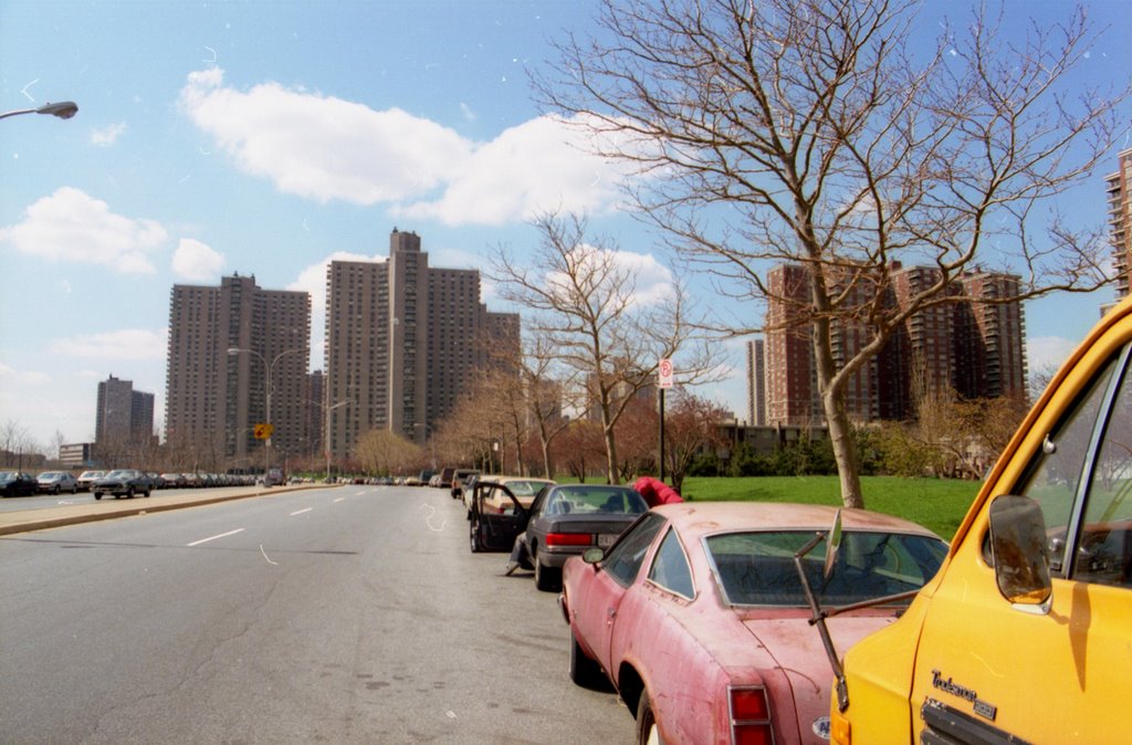 Co-op city.
