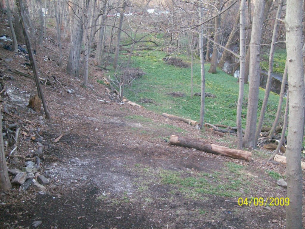troop 40 clean up day trail bike