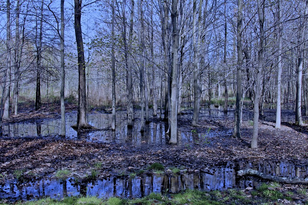 Pelham park Bronx New York USA