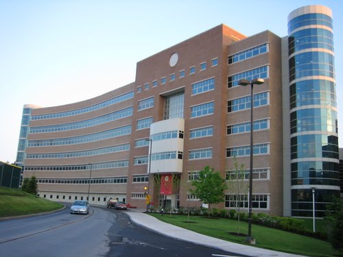 Ithaca NY Cornell University