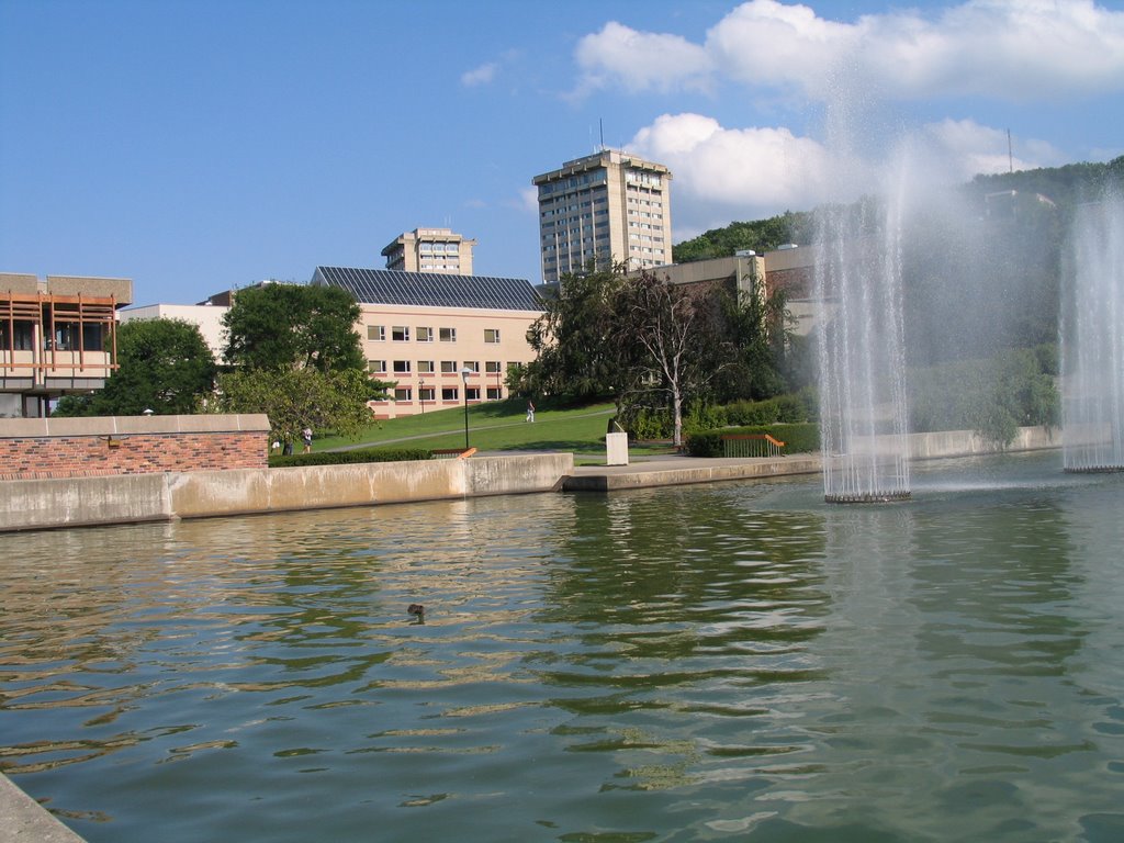 Ithaca College