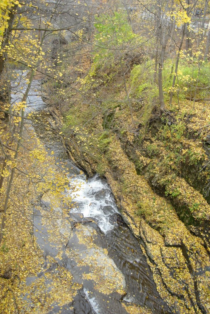 Cascadilla Gorge