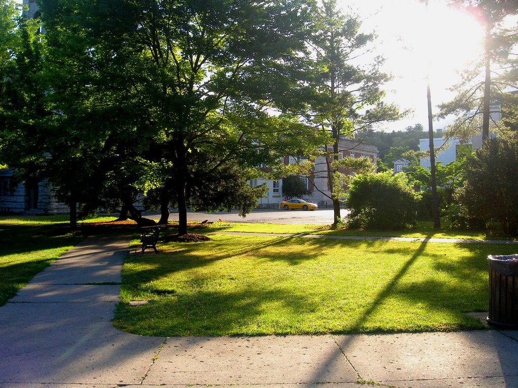 Long Shadows