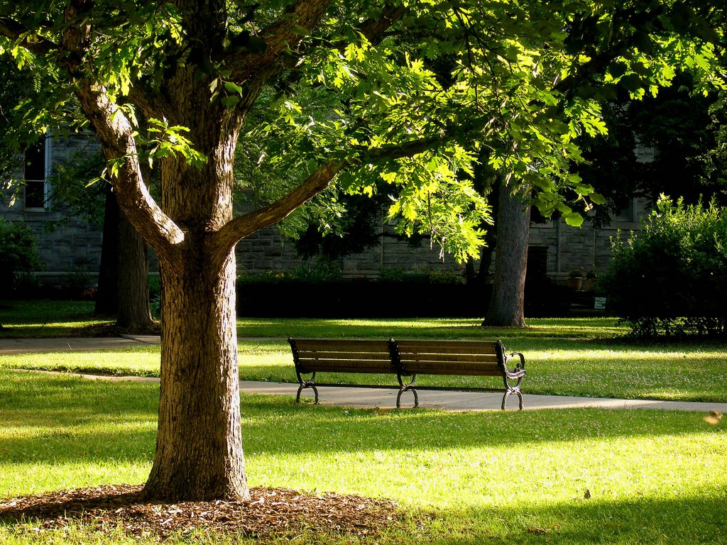 Bench