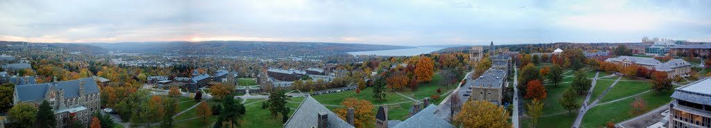 Cornell University at Ithaca from MacGraw Tower