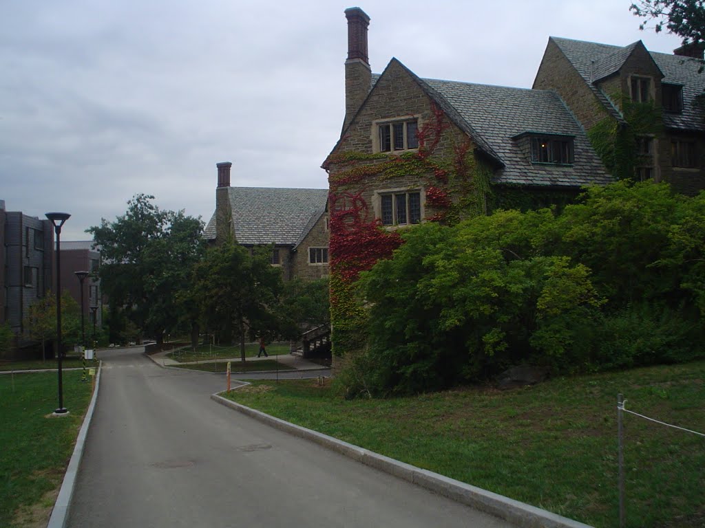 Gothic street