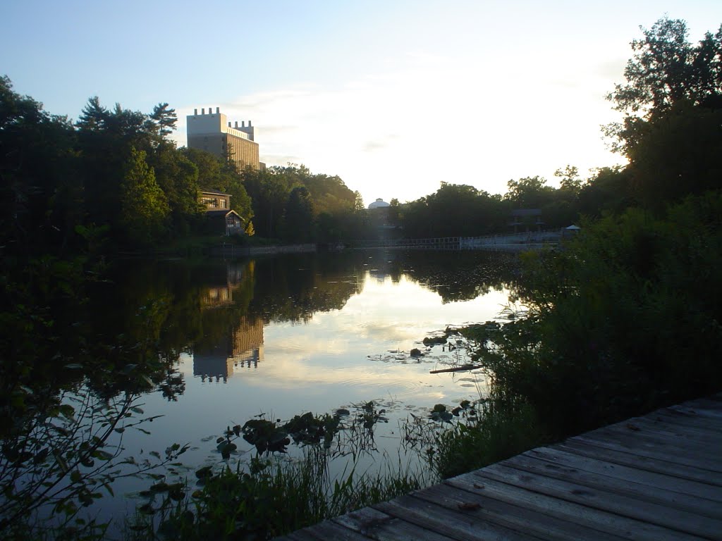 Lake in campus