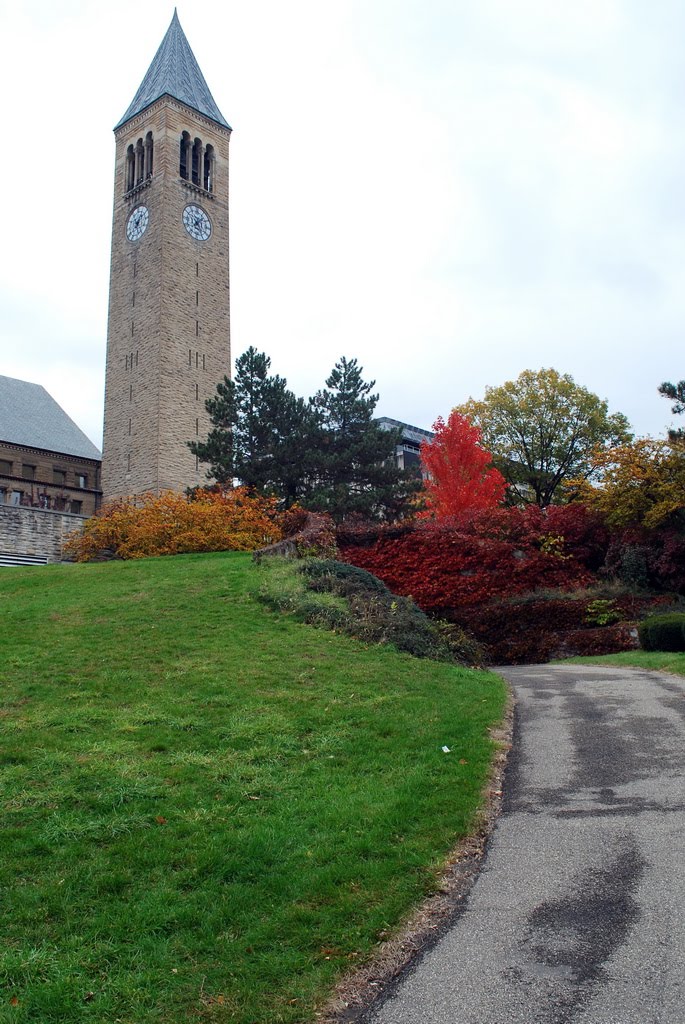 Cornell University at Ithaca, NY
