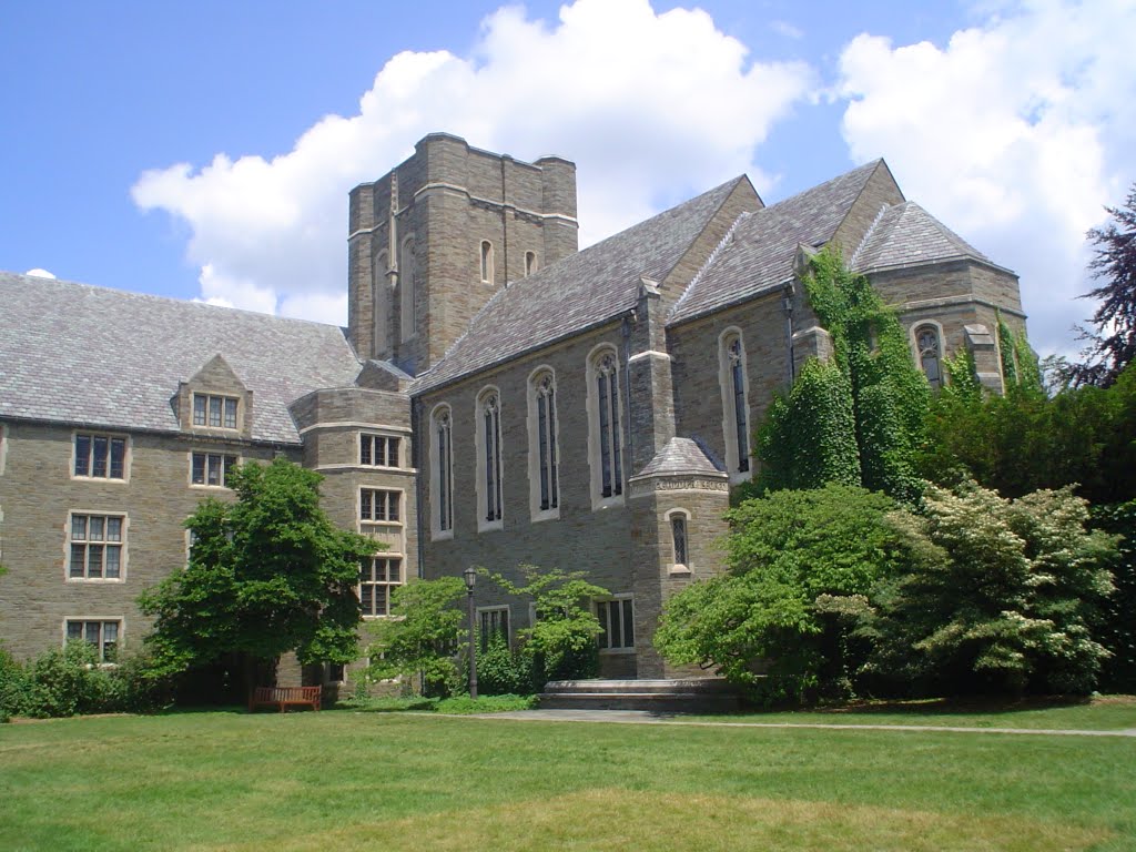 Alternatives Library