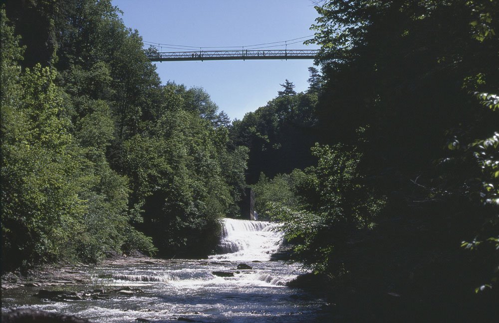 Suspension bridge from gorge