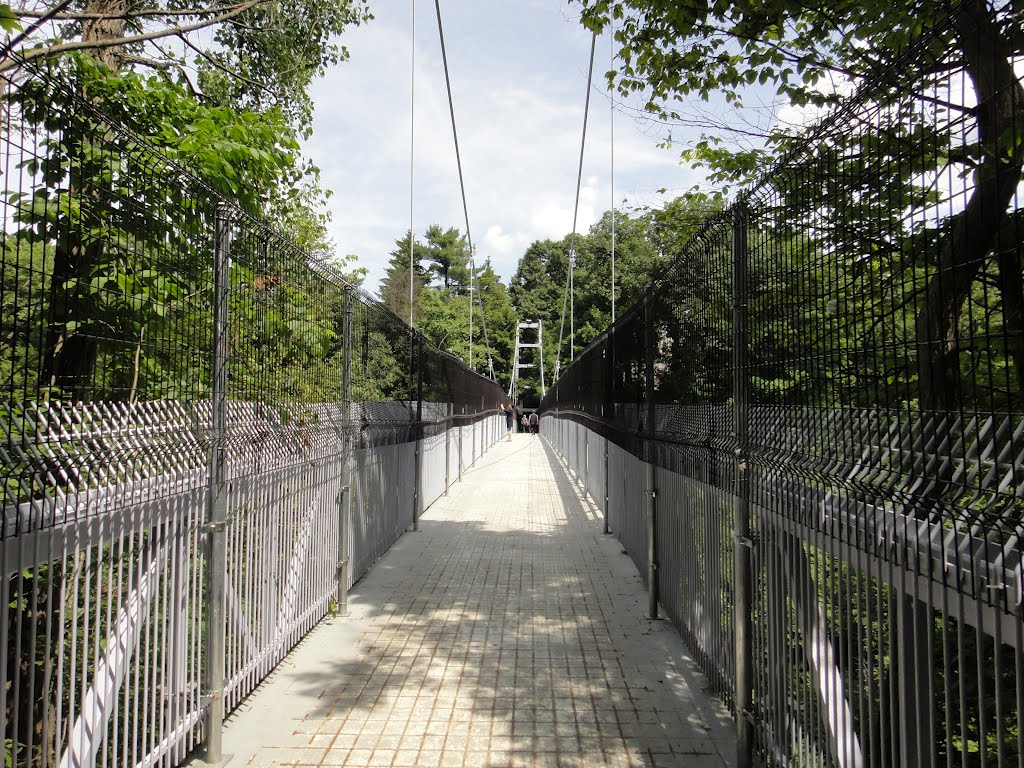 Pedestrian suspension bridge in Cornell