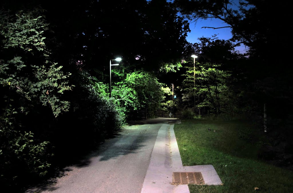 Path near Martha Building at night