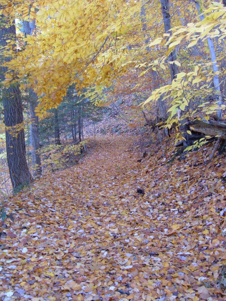 path