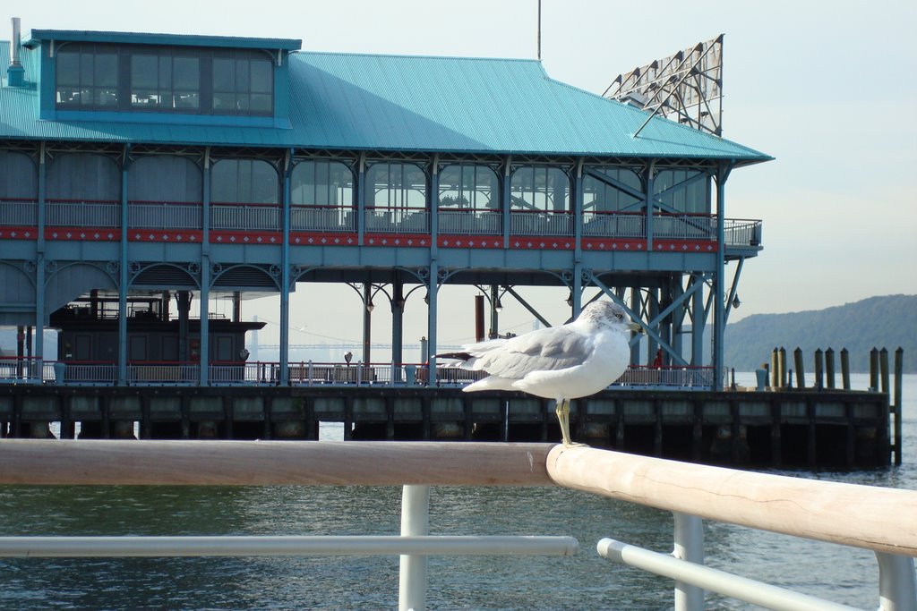 waterfront