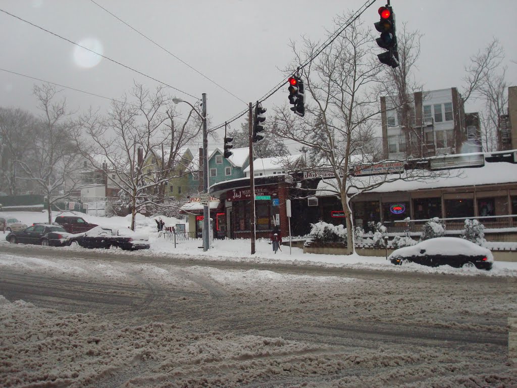 Blizzard, Riverdale Ave and Radford St