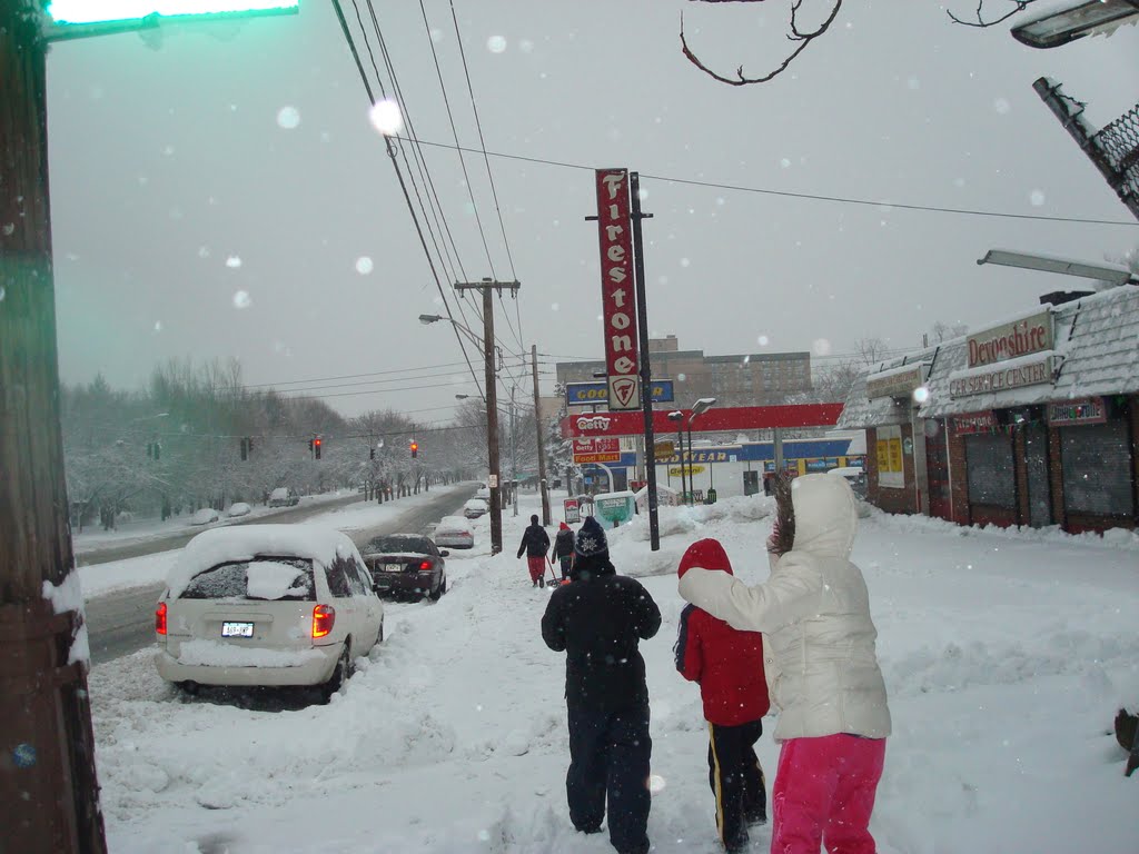 The Blizzard ,Riverdale Ave