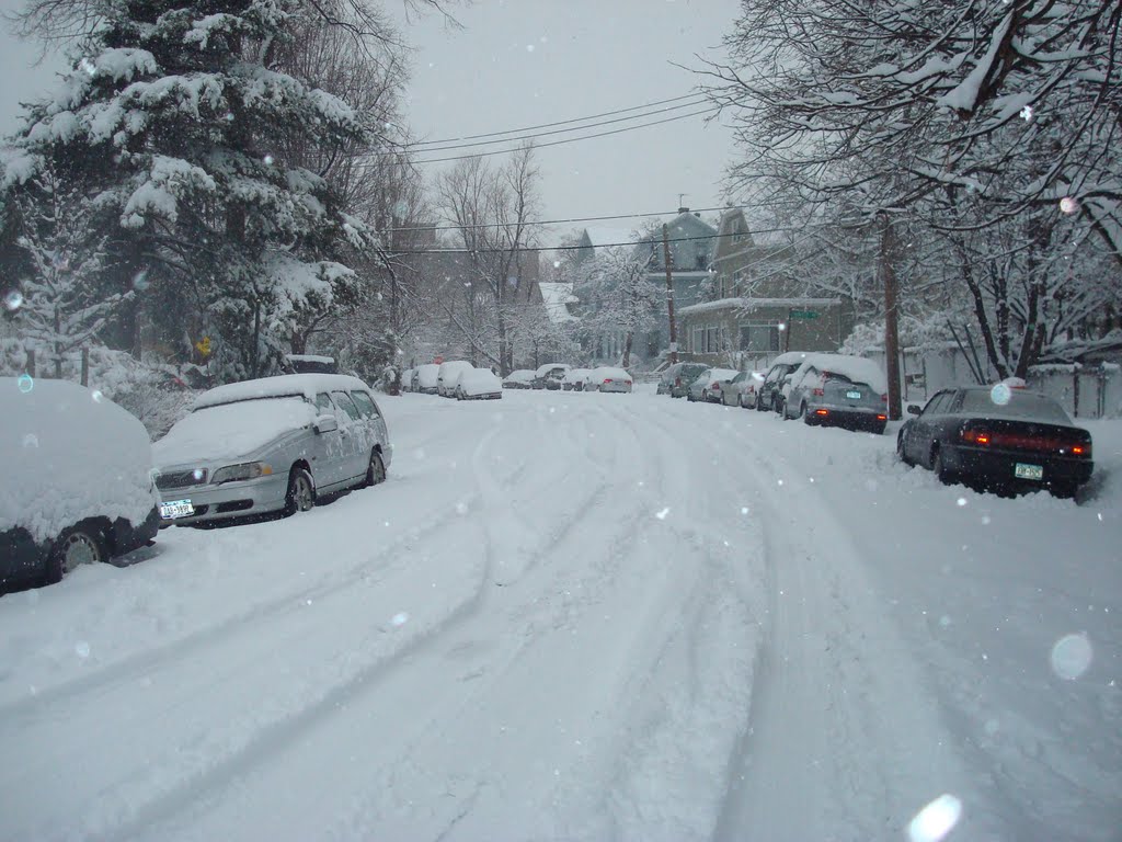 Blizzard