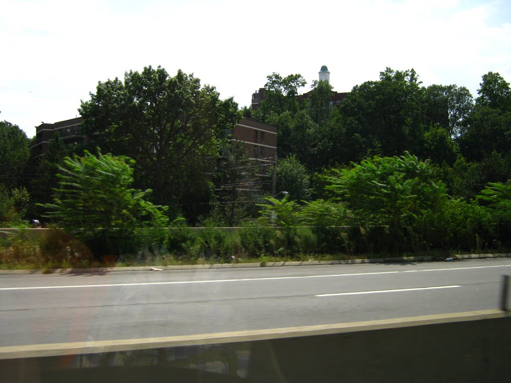 THE BRONX