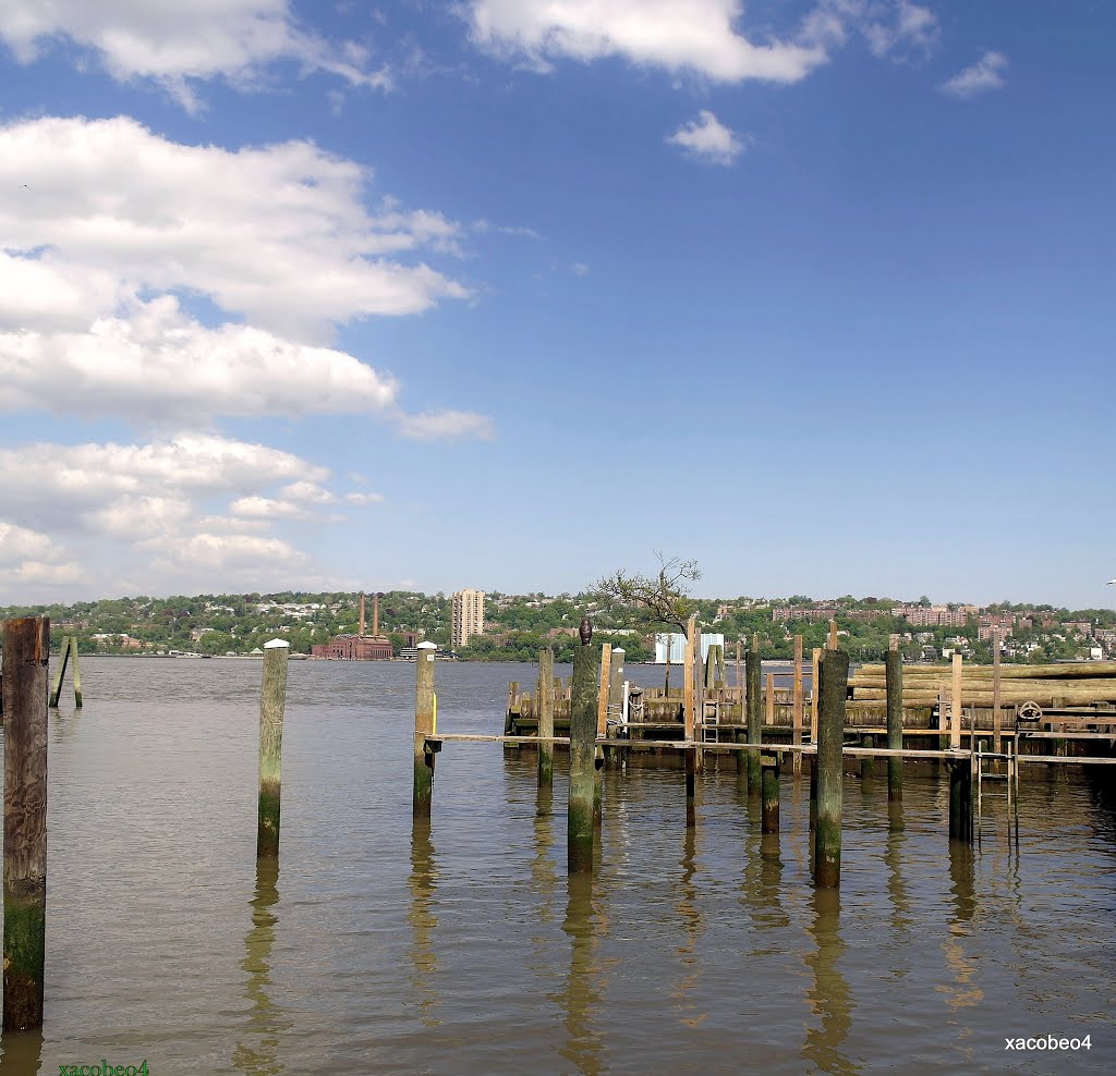 Ramifíquese! Visite los Árboles,del Hudson. Even if not we realize, the Hudson touches our lives every day.
