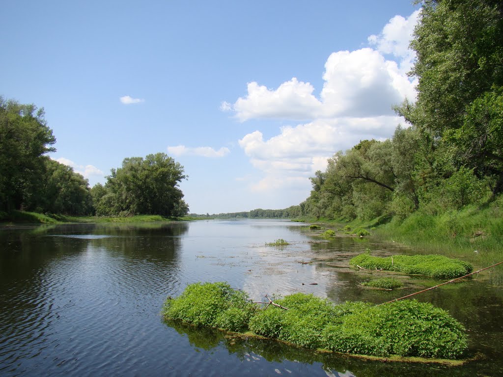Mohawk River