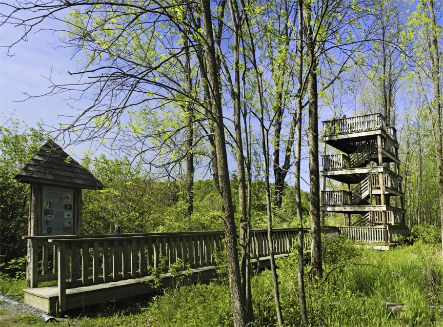 Ramshorn-Livingston Sanctuary