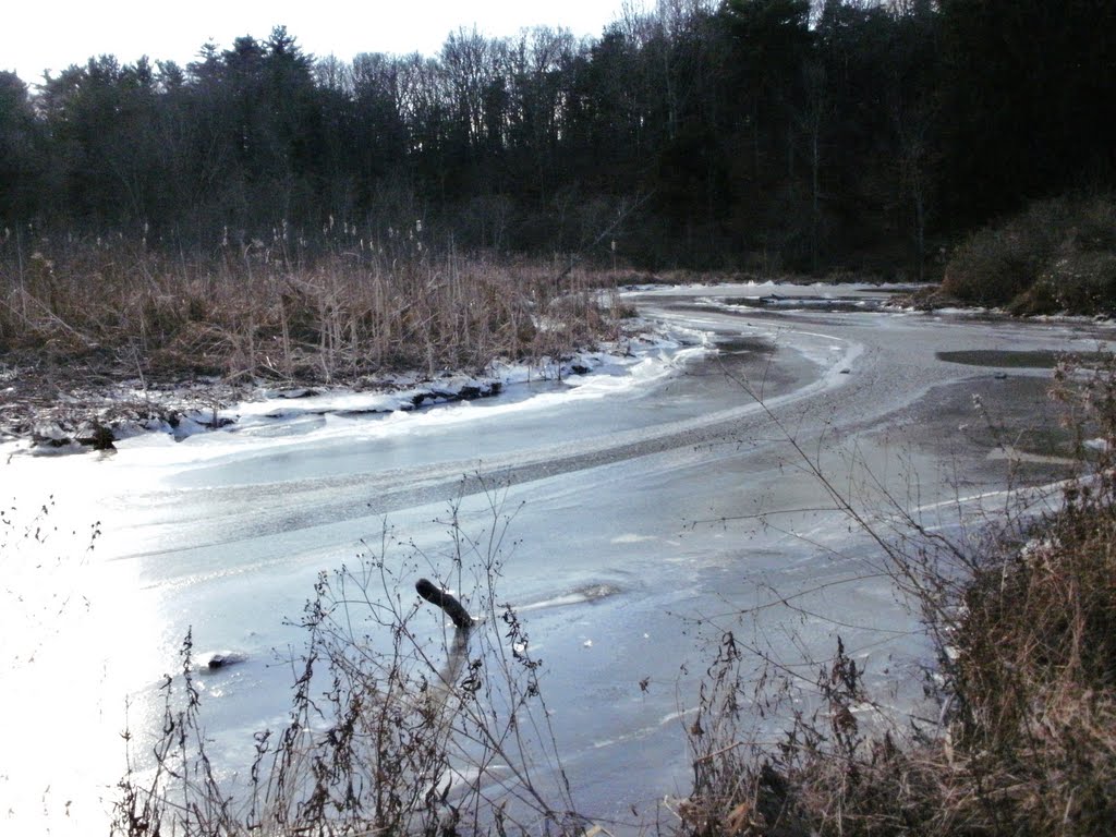 frozen Ramshorn Creek