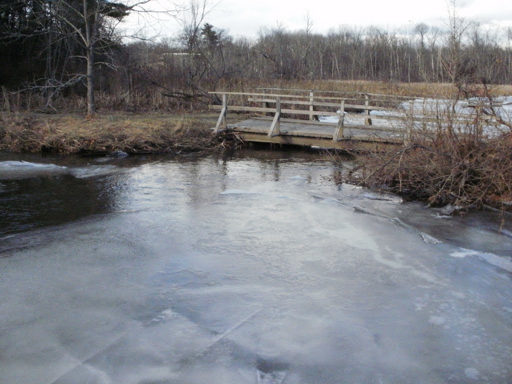 bridge over the ramshorn in winter