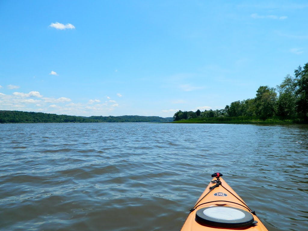 Alongside Ramshorn Marsh