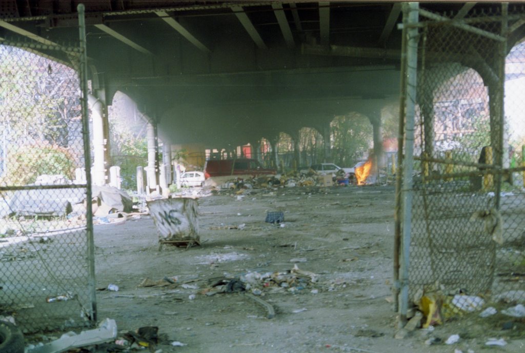 Fire and homelesses.