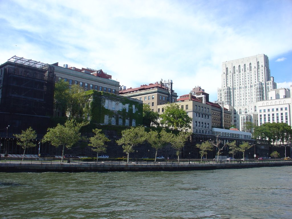 Rockefeller University