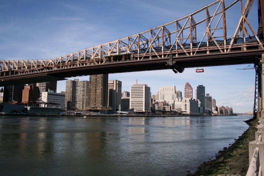 View from Roosevelt Island