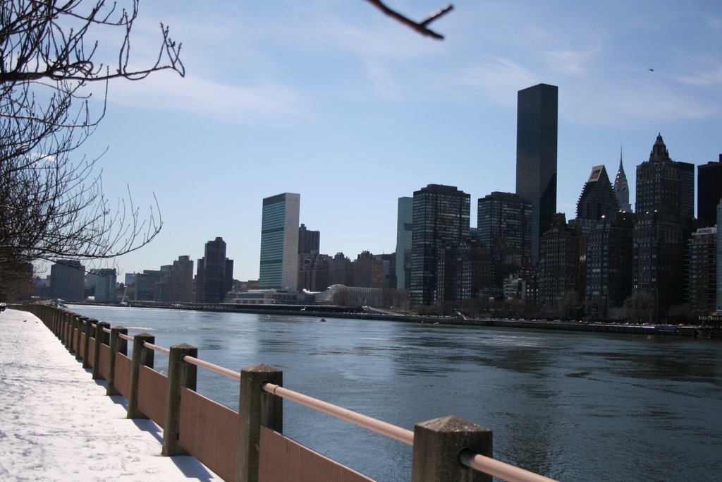 View from Roosevelt Island