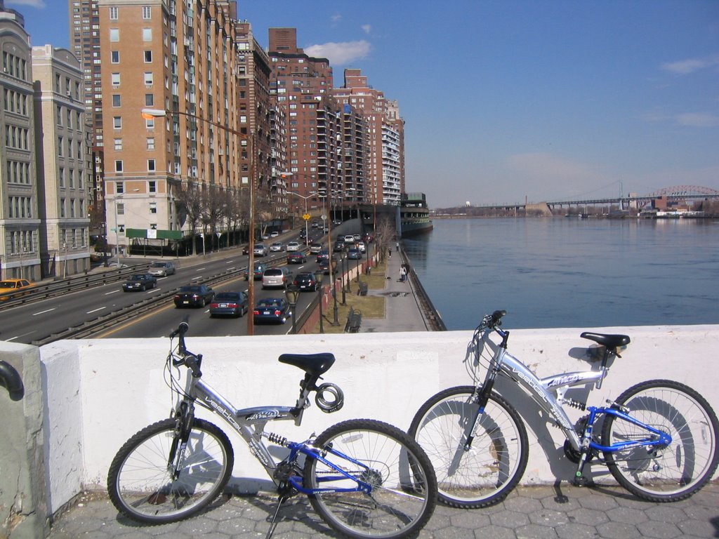 FDR Drive