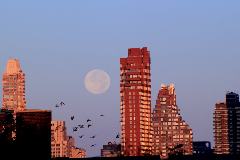 Moonset at Sunrise