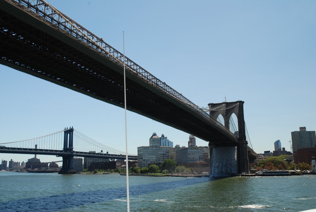 il ponte di brooklin