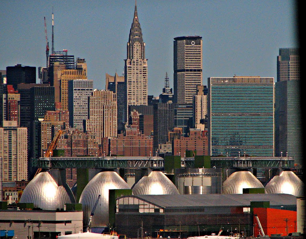 New York Anatomy
