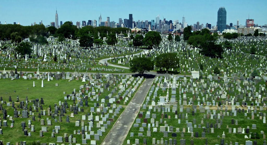 CEMENTERIO DE NUEVA YORK