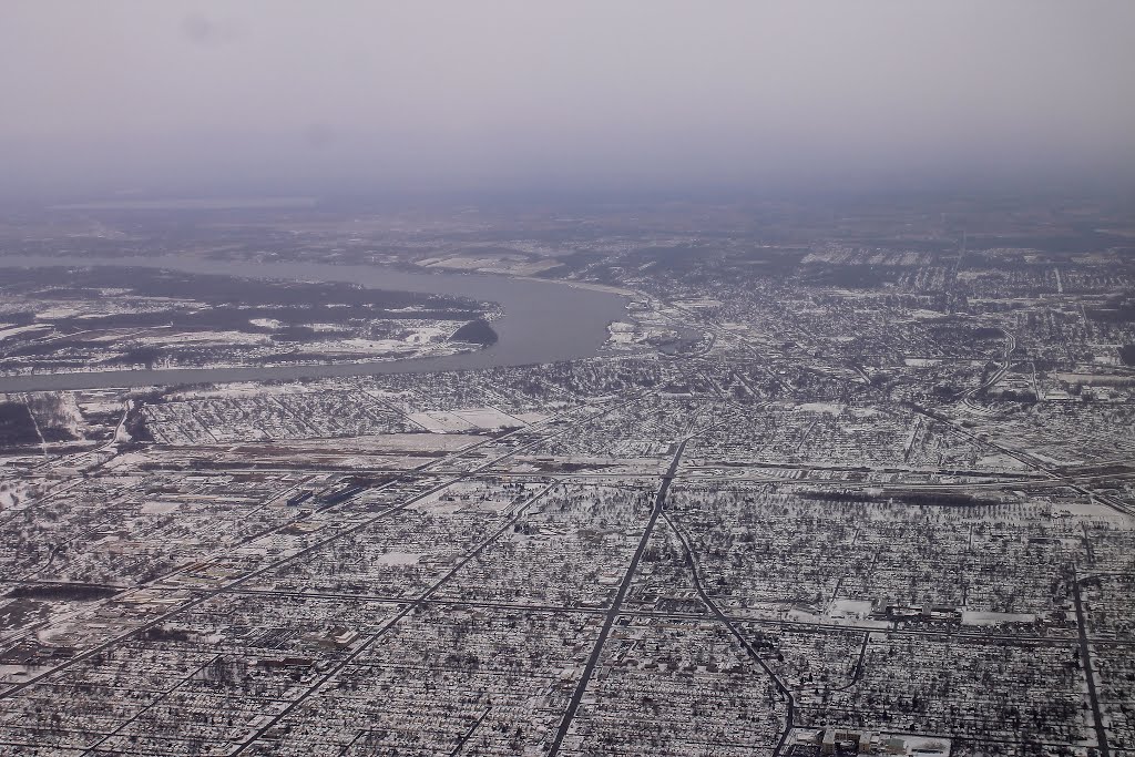 Buffalo