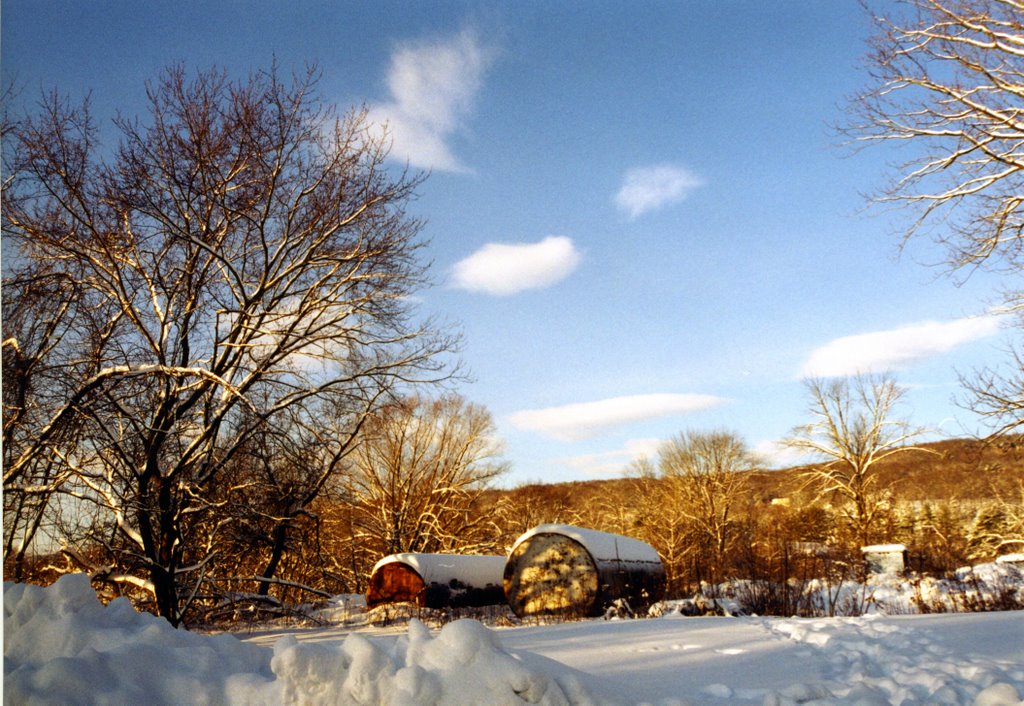 Winter landscape in Kingston