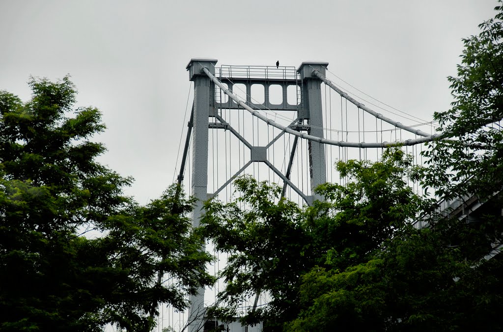Rainy Day Ride Along The Rondout Creek: Lonely Bird Guardian of the Roundout Creek Bridge