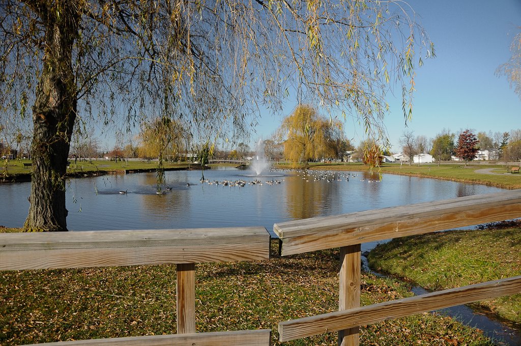 Pond at Clarence Town Hall