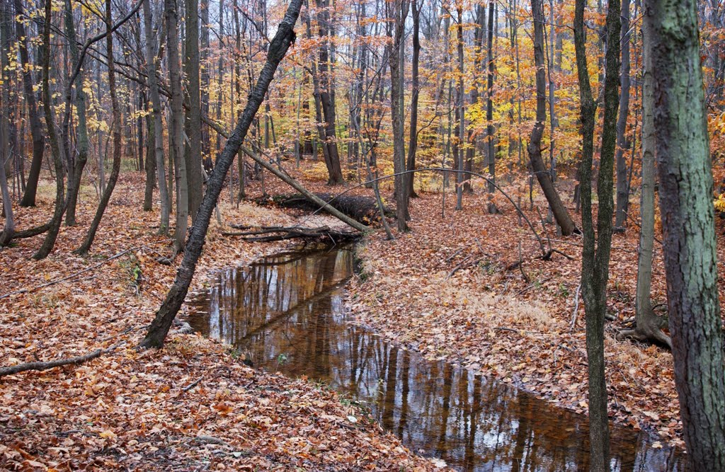 A stream nearby
