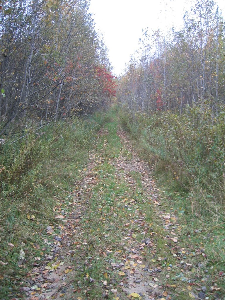 Trails