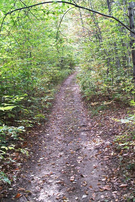 Trails