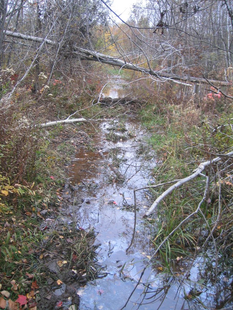 Trails
