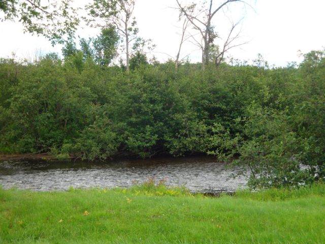 Saranac River in Riverview, NY